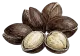 Argan Oil