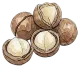 Macadamia Seed Oil